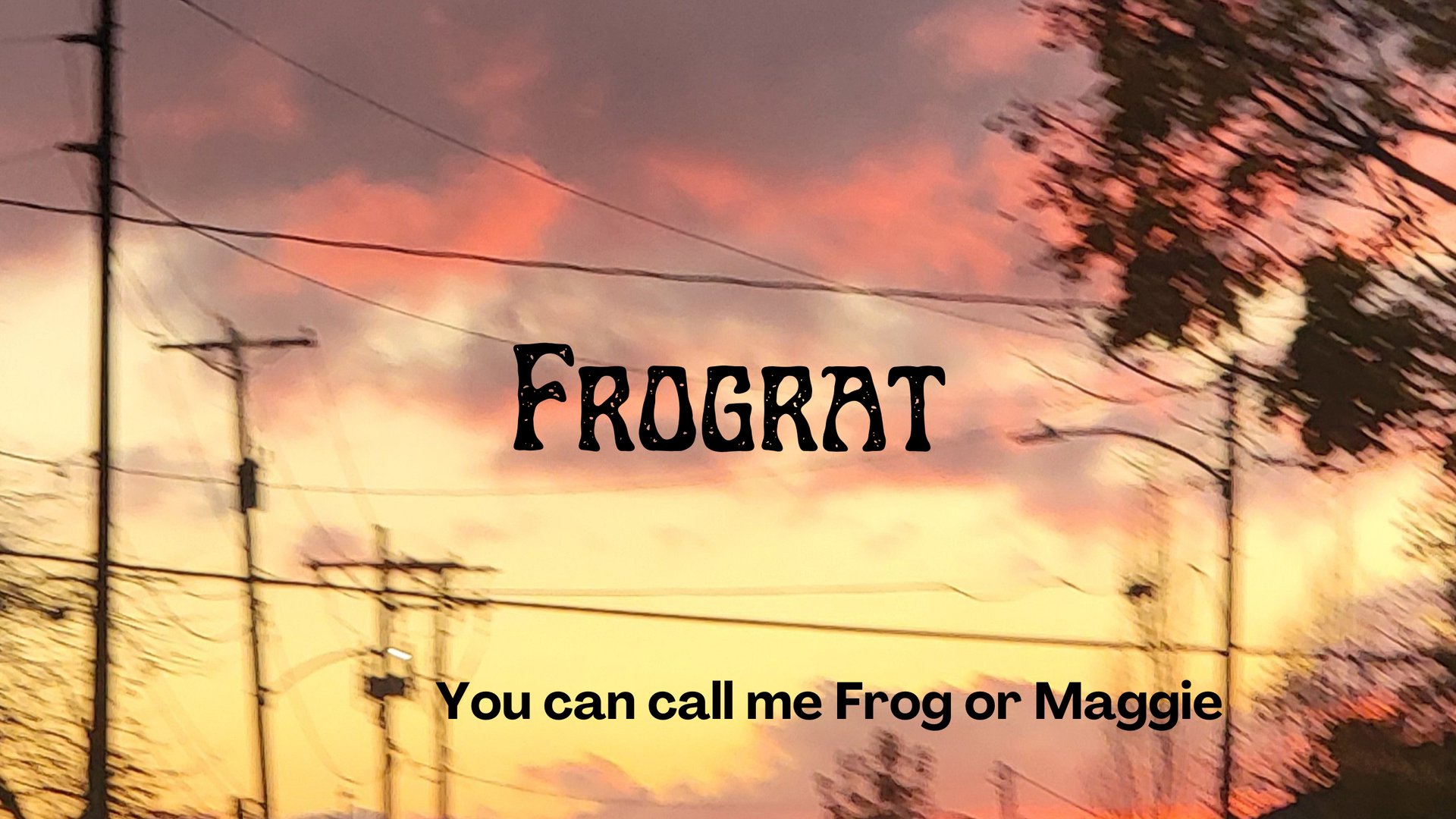 00froggyshark00 banner
