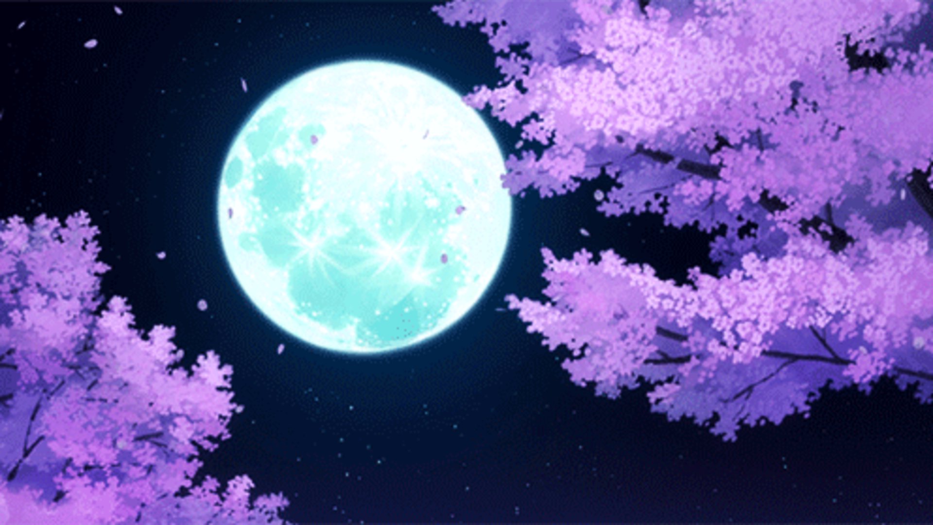 7kally banner