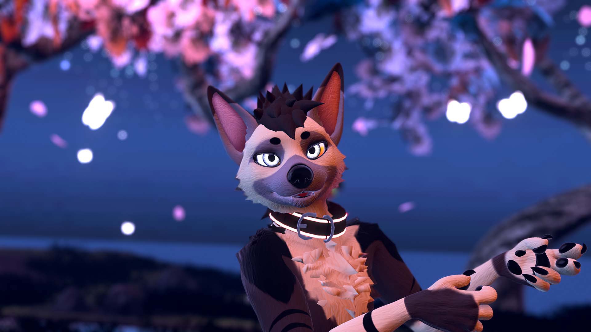 AardwolfEssex banner