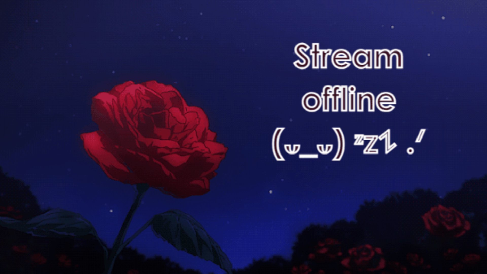 Adallya banner