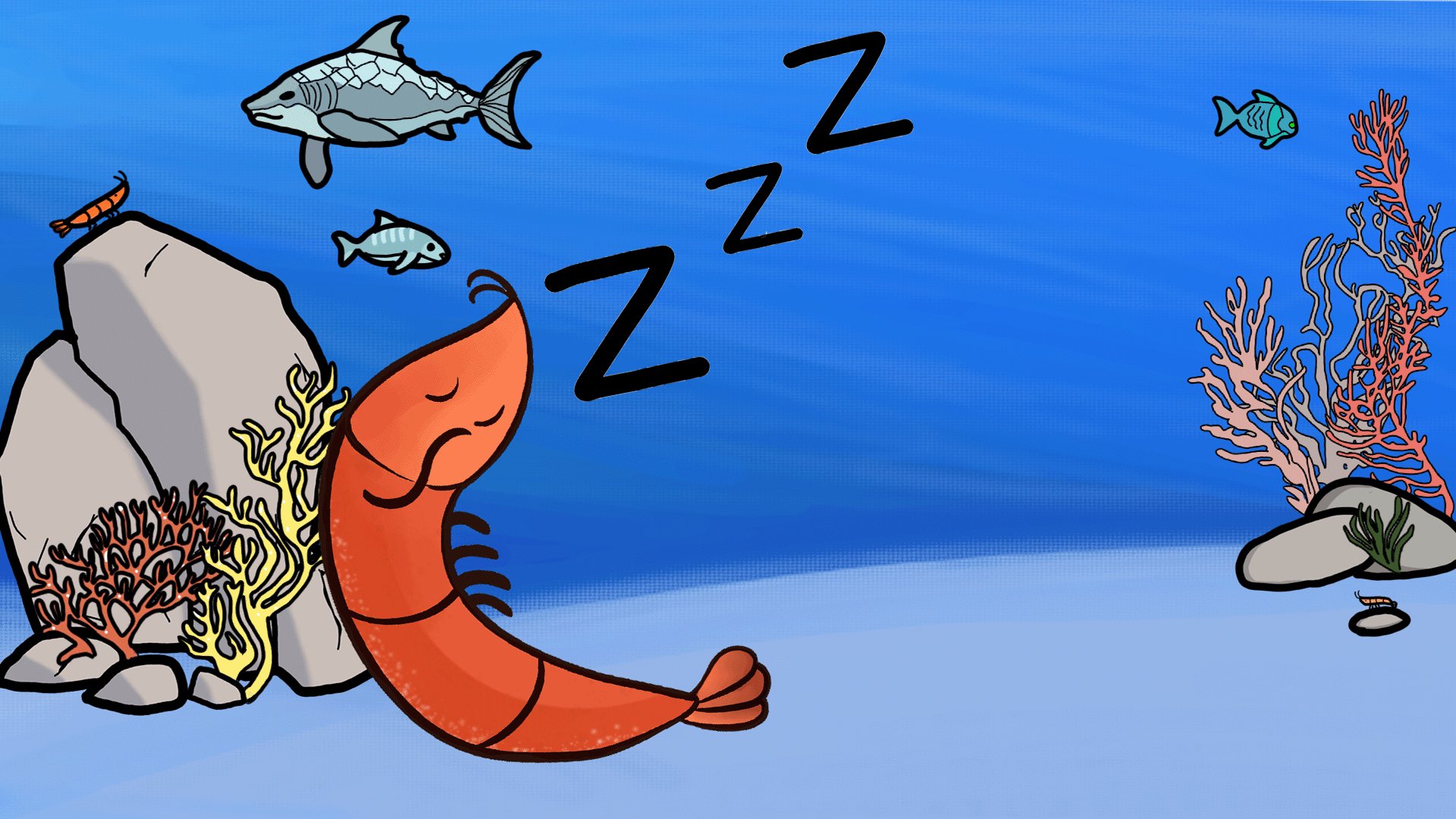 AilyssTheShrimp banner