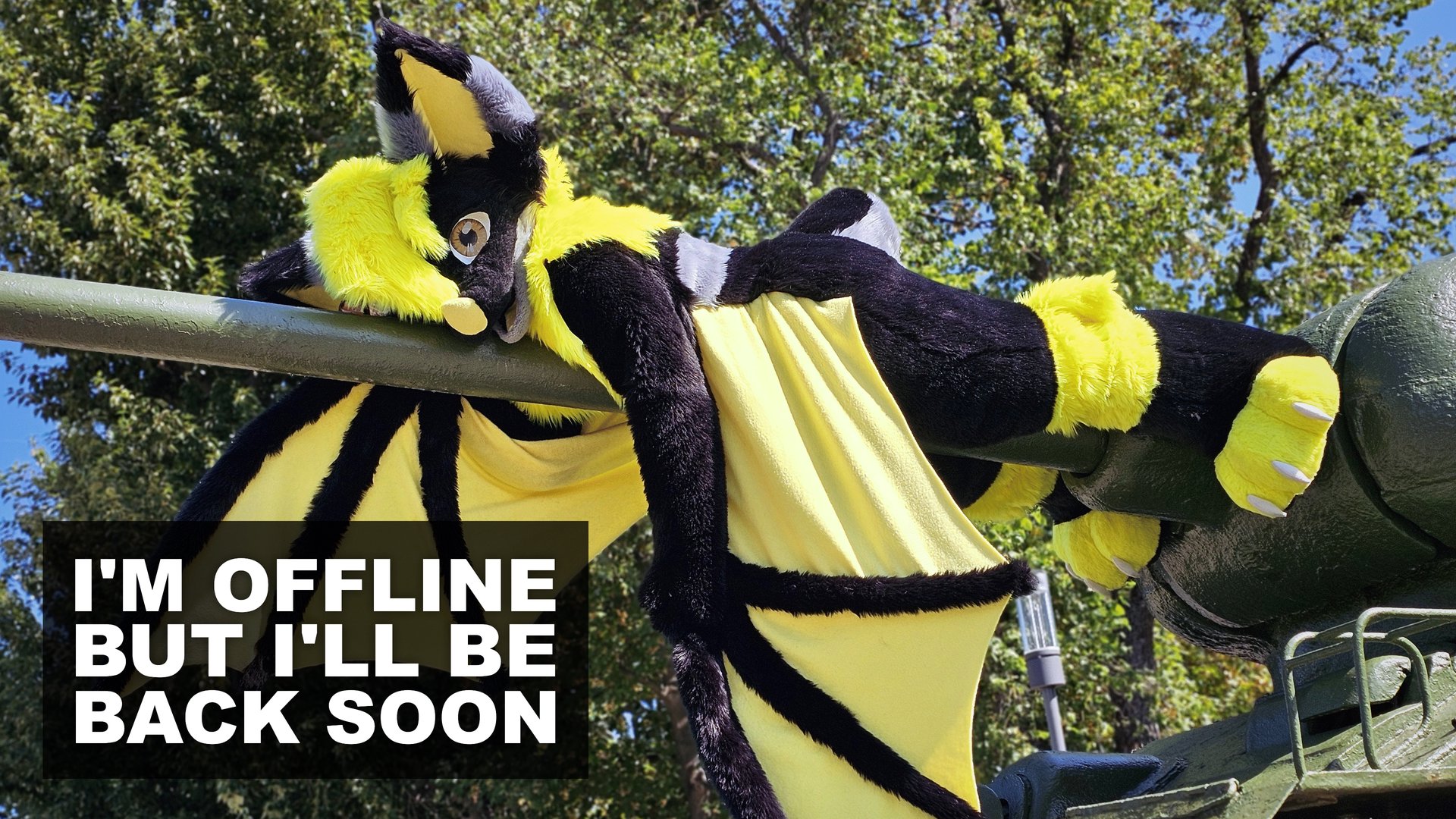 AkiraSwoops banner
