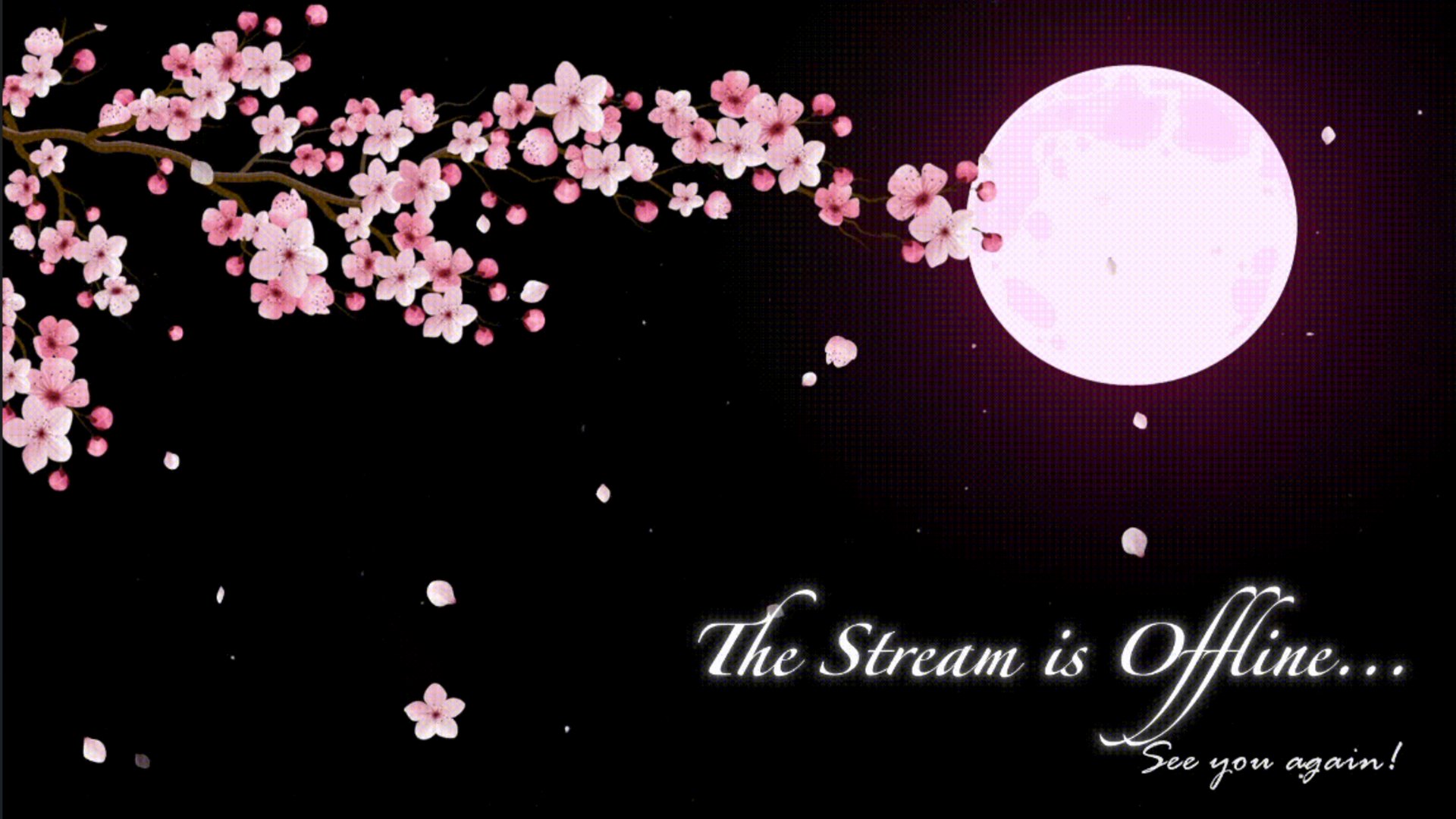 Akiyo Kumi banner