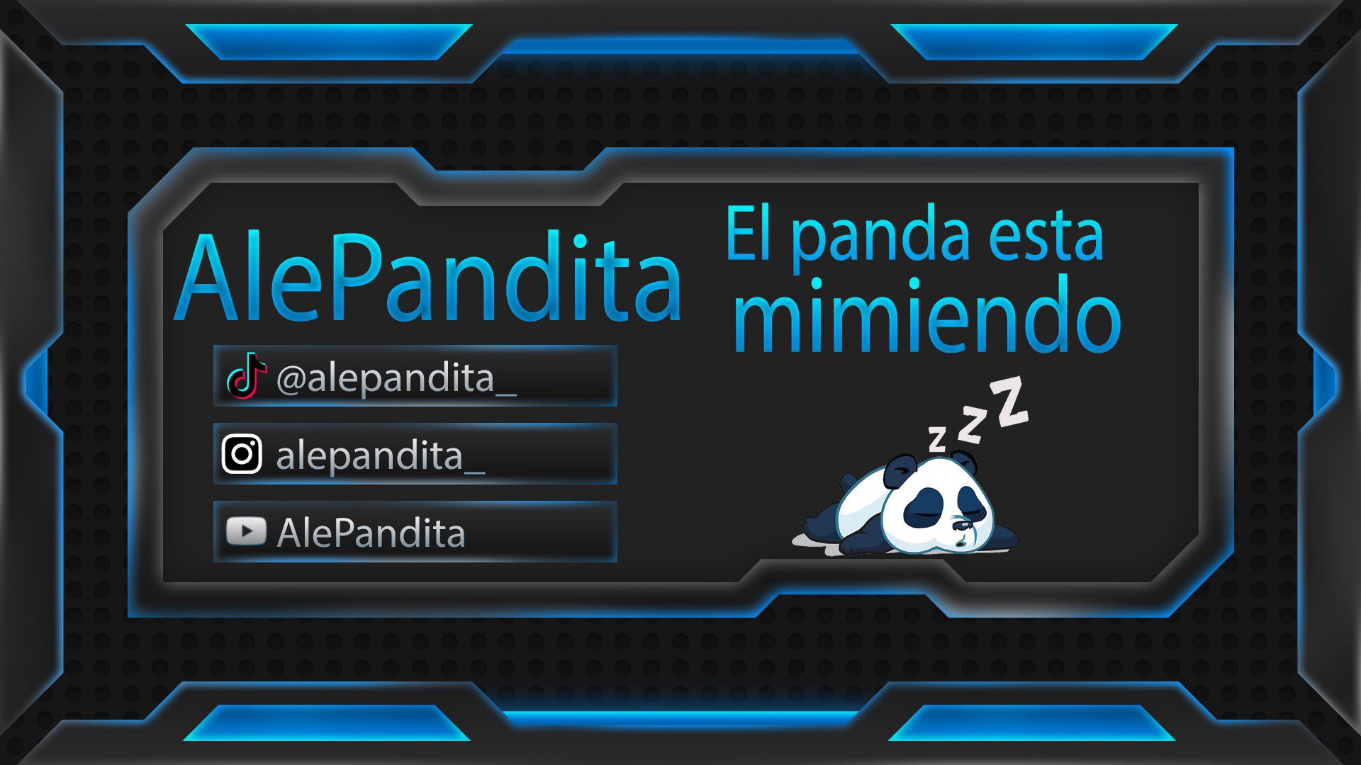 Ale_Pandita banner