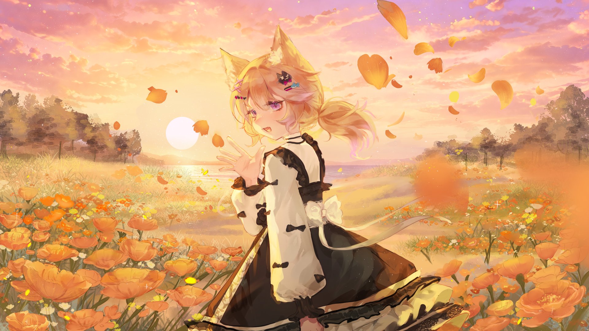 alicexiv banner