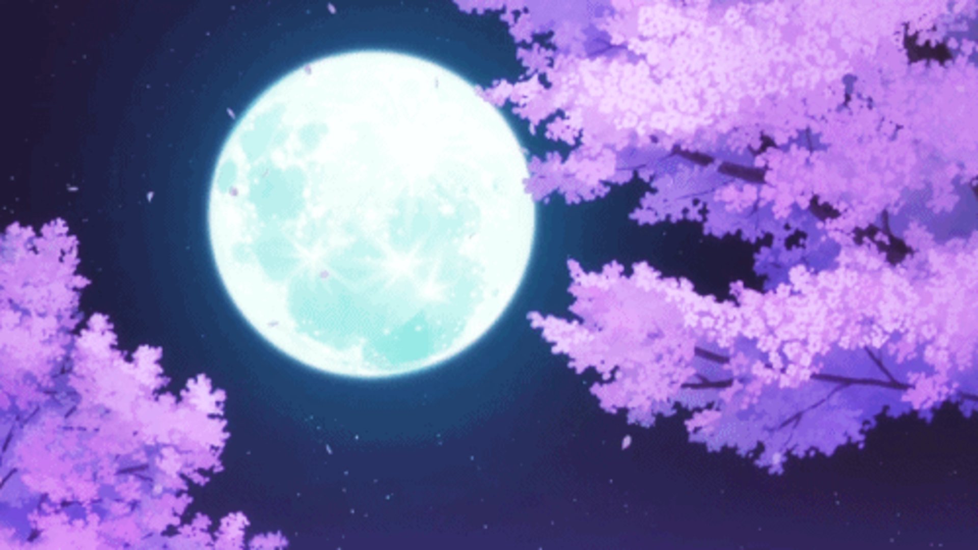 aliss_vt banner