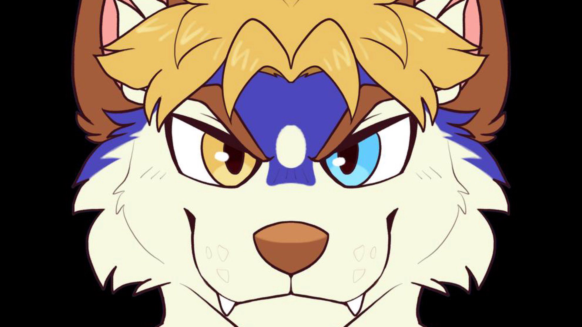AlphyHusky banner
