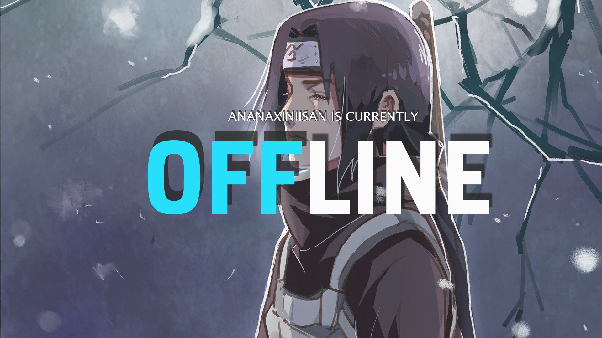 AnanaxiNiisan banner