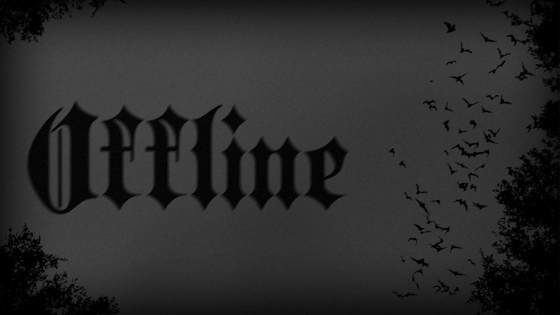 ANIMETYKA banner