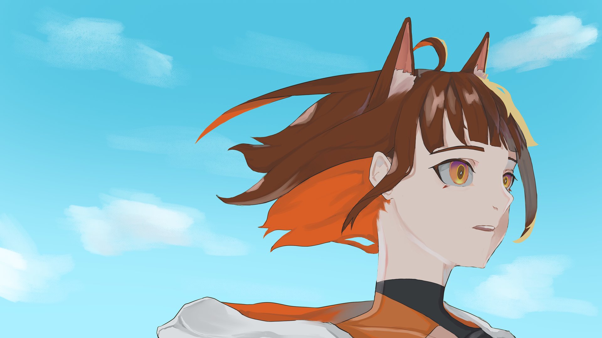ArashiSengoku banner