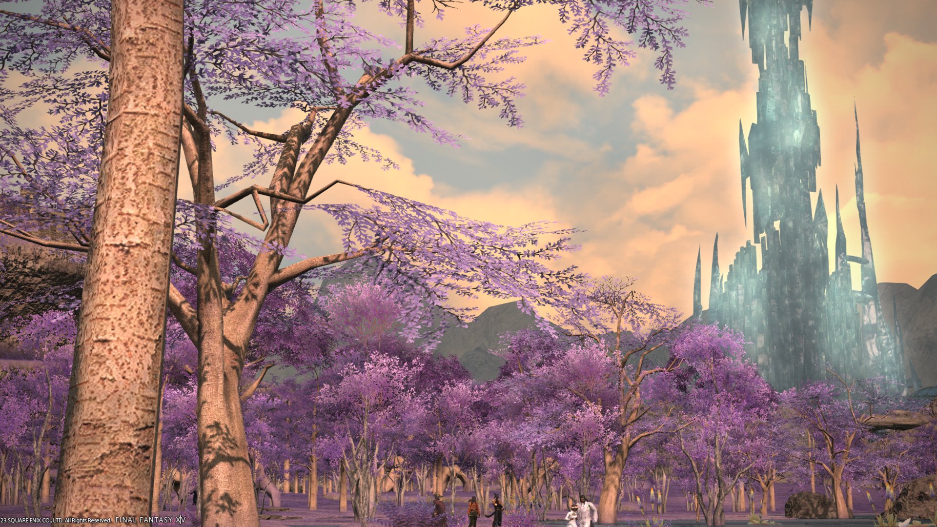 Aristottle_ banner