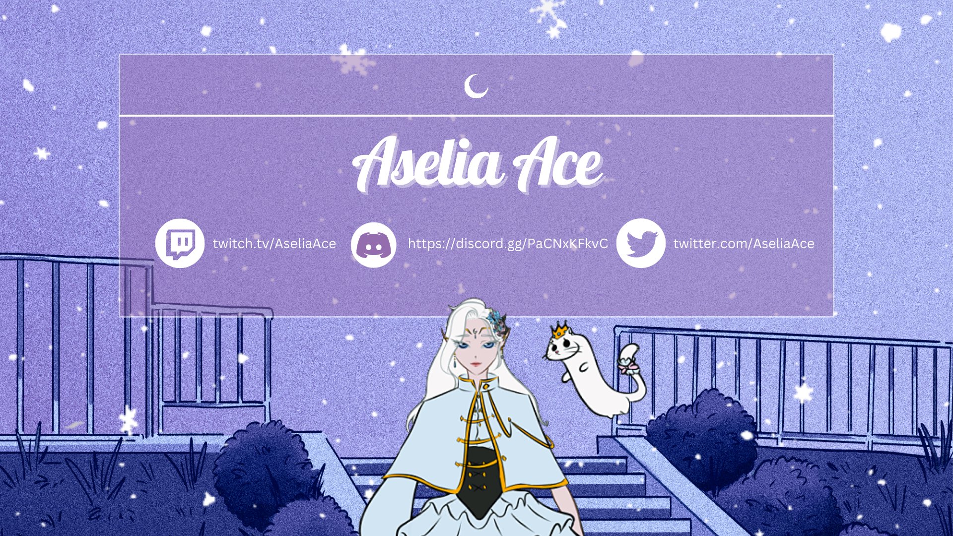 AseliaAce banner