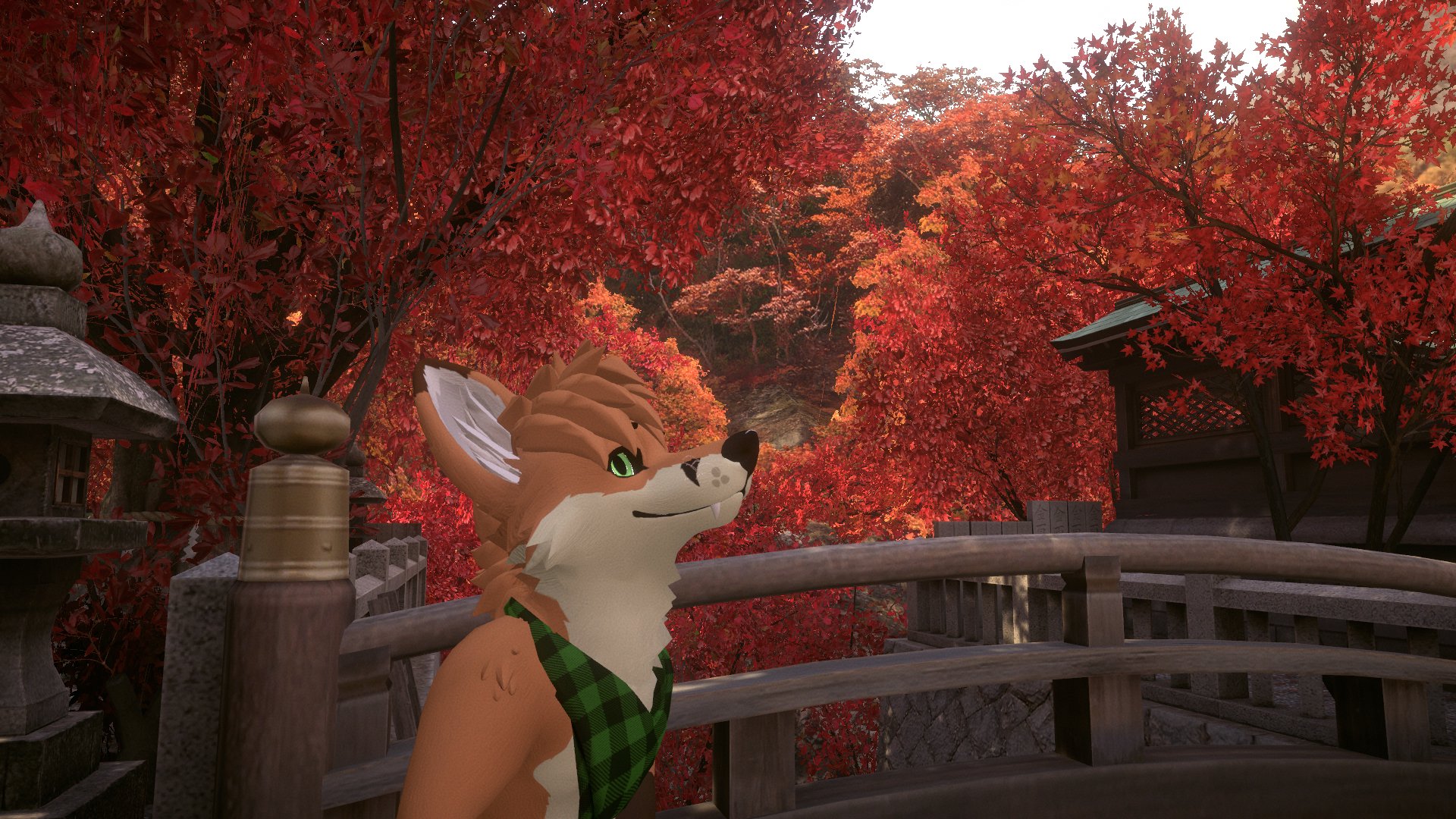 AustyTheFox banner