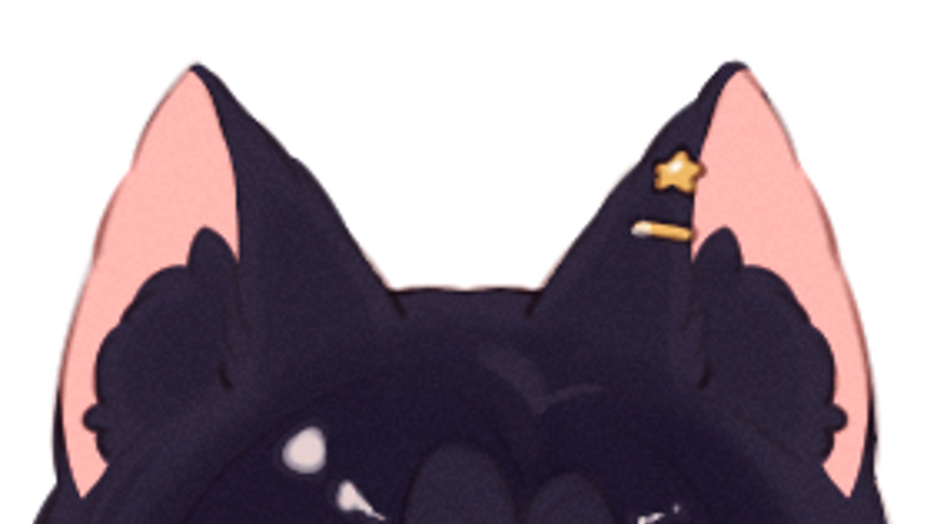 avicat_ banner
