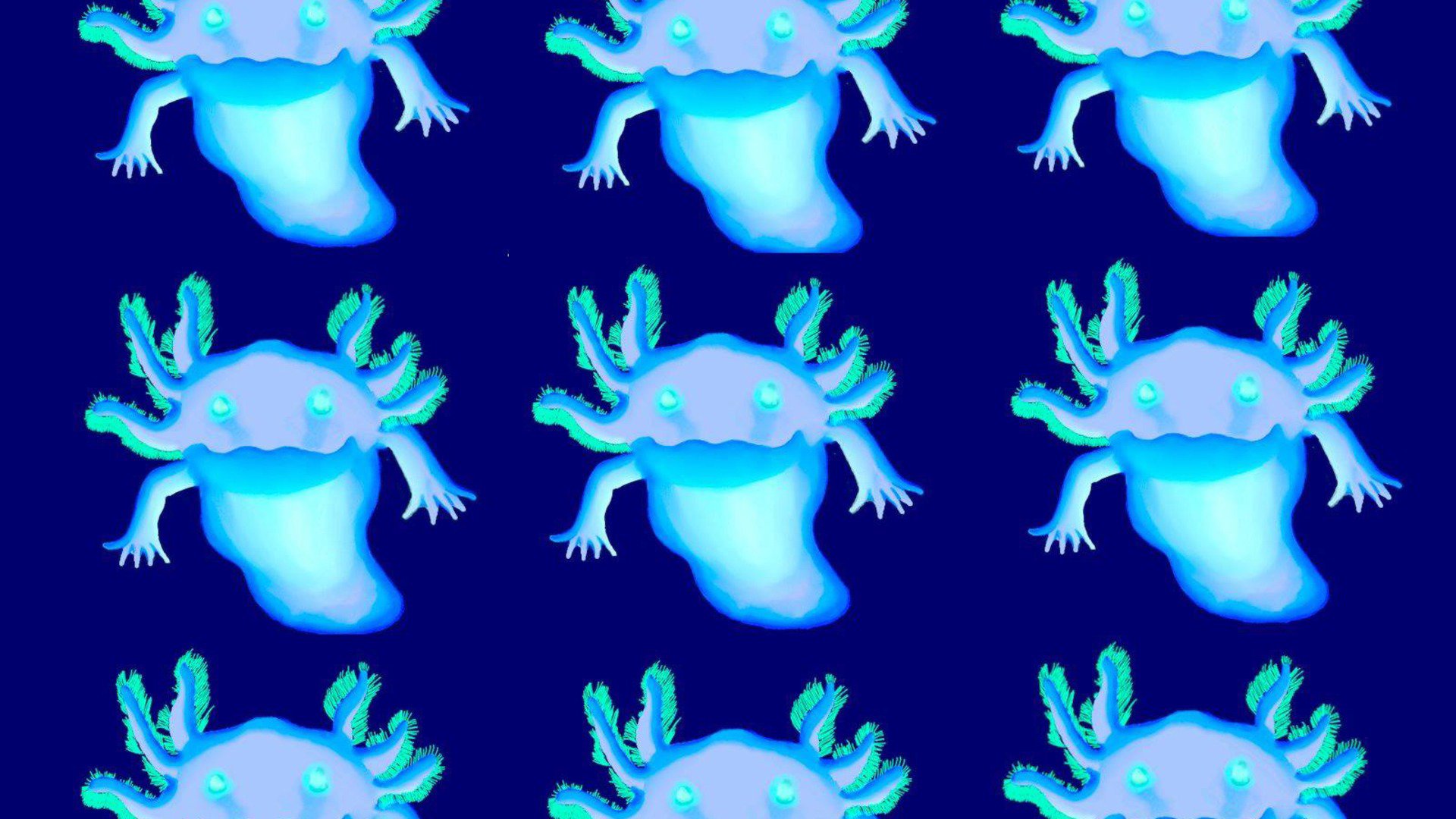 Axeirie banner