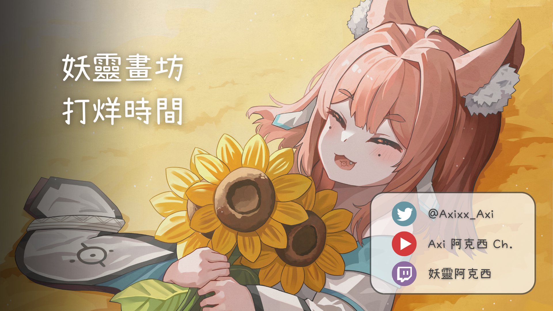 Axi banner