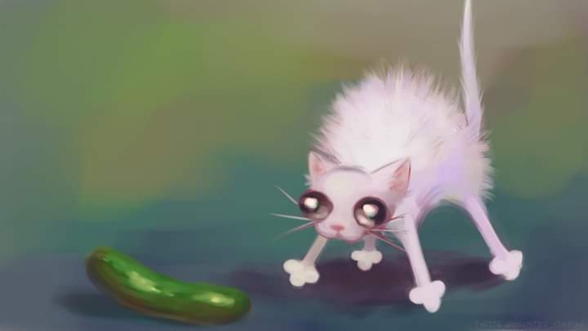 AxlLg banner