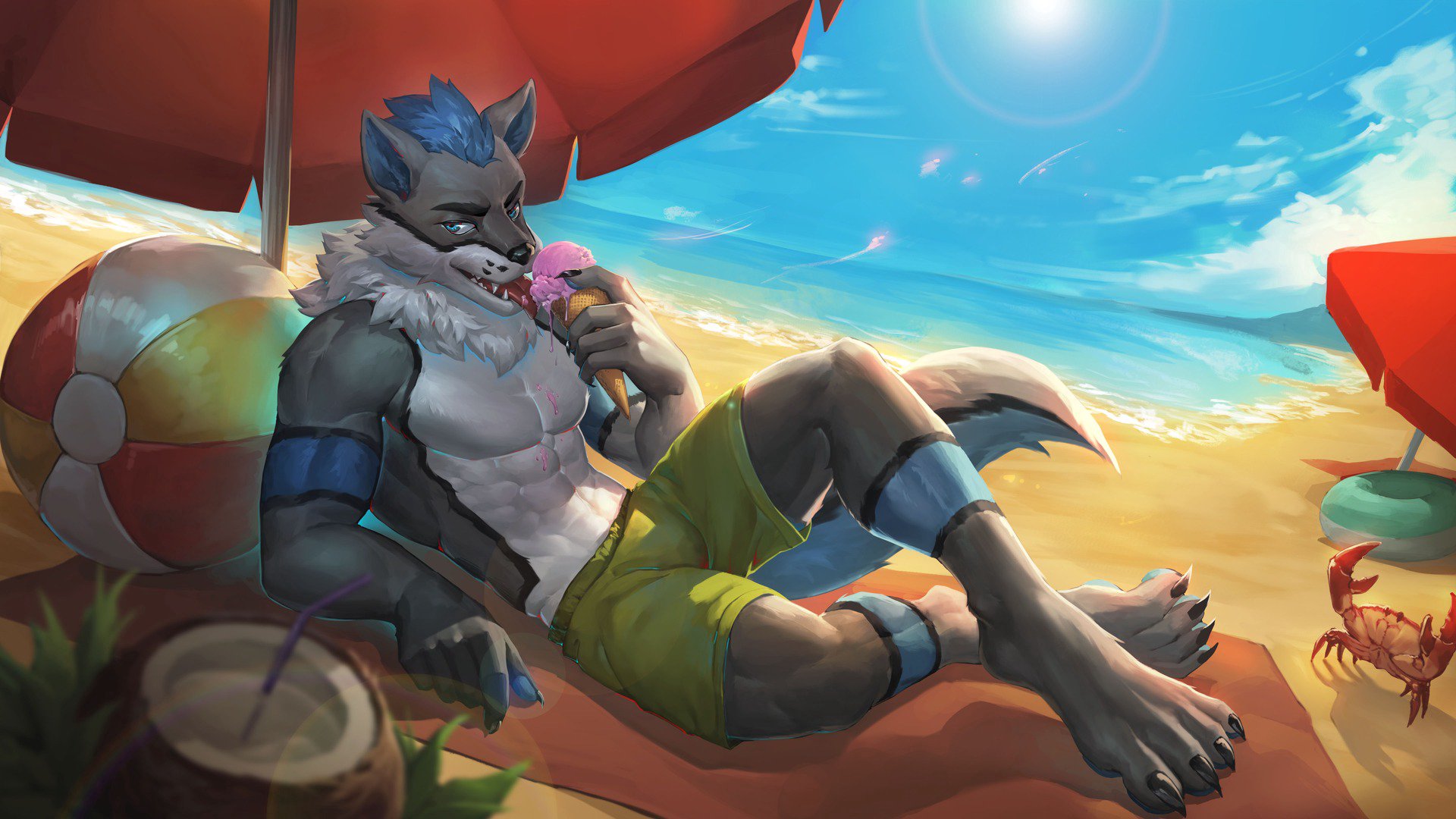 bajawolf banner