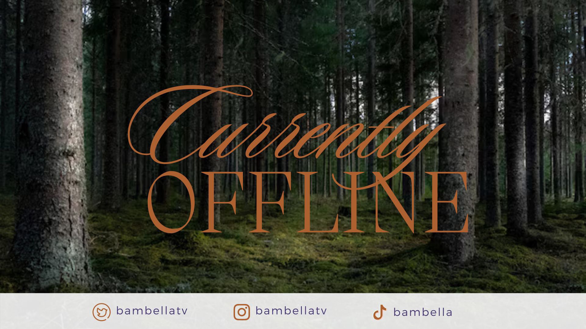 BambellaTV banner