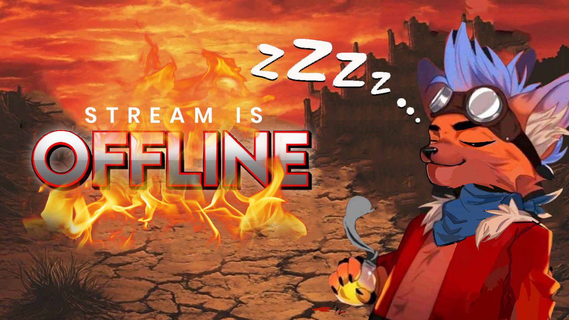 bandicootplaya banner