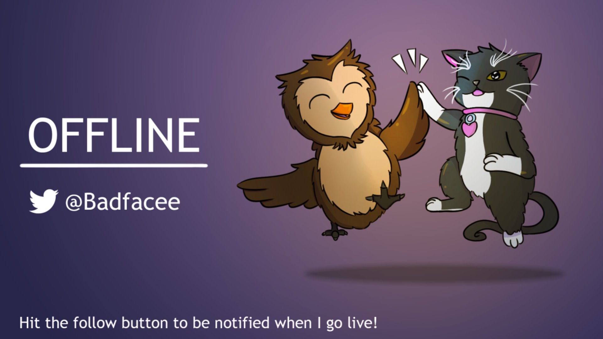 Bapface banner