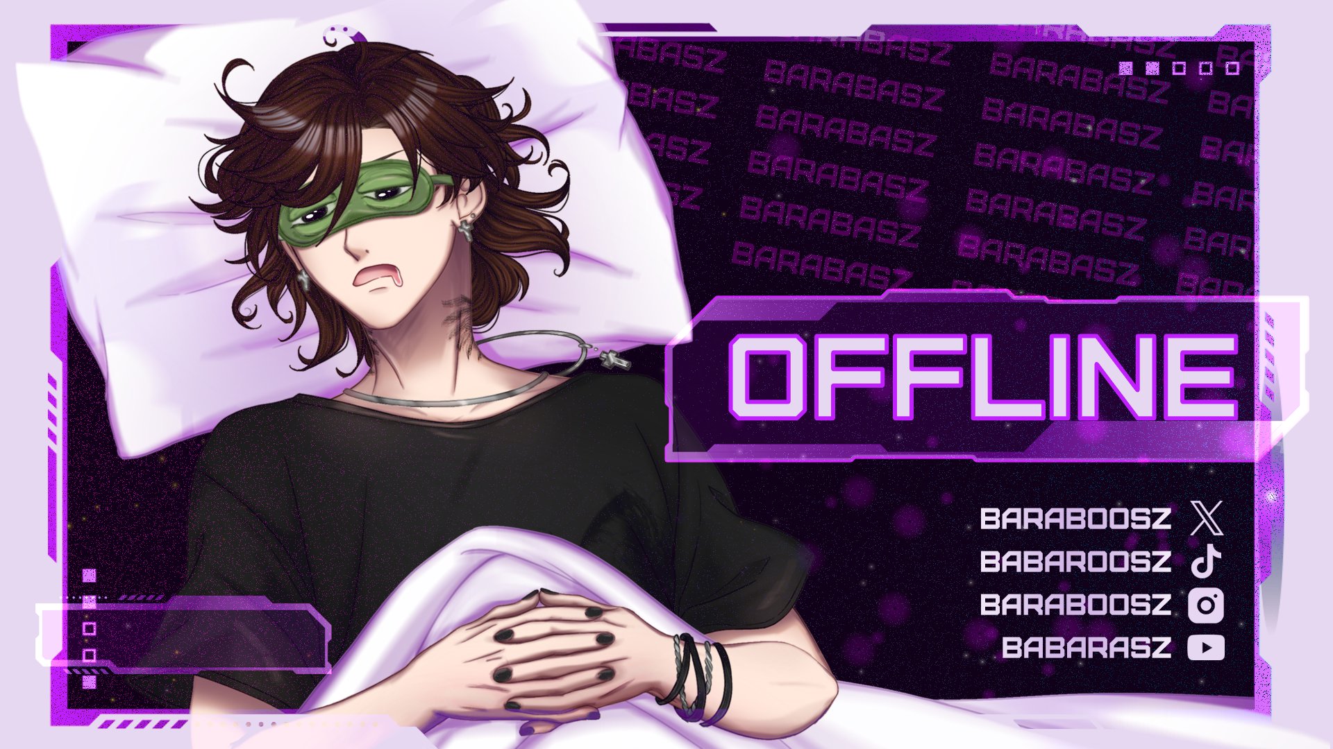 Baraboosz banner