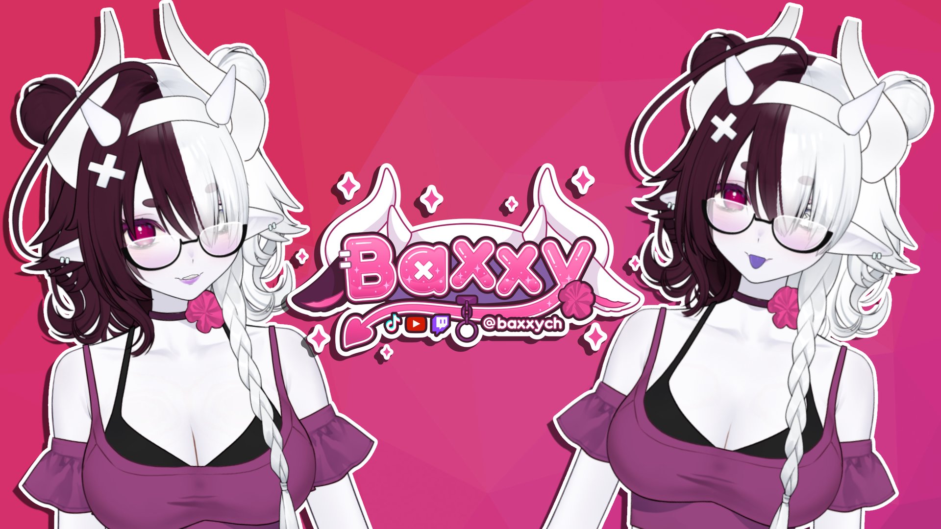BaxxyCH banner