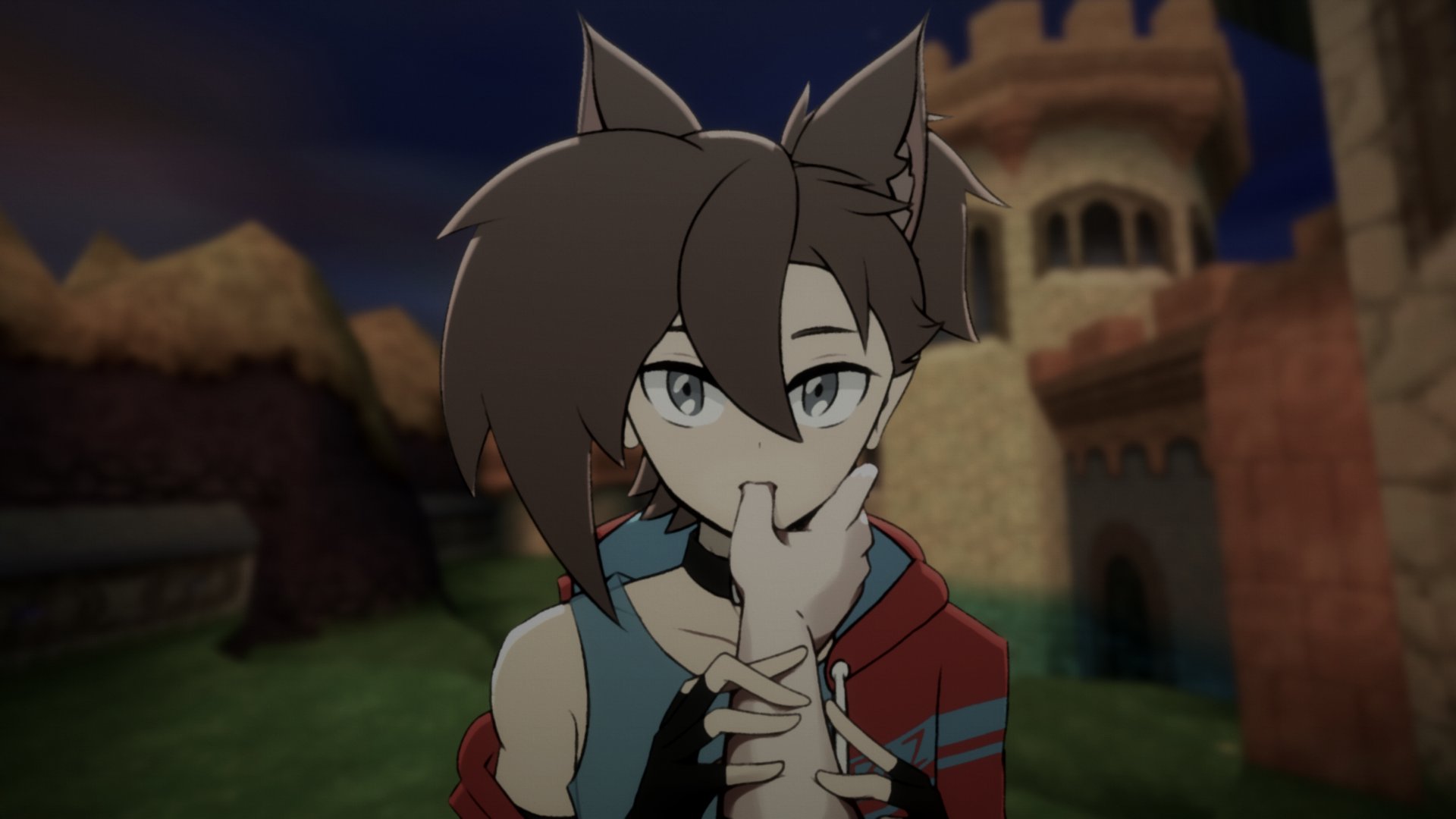 Bazinski banner