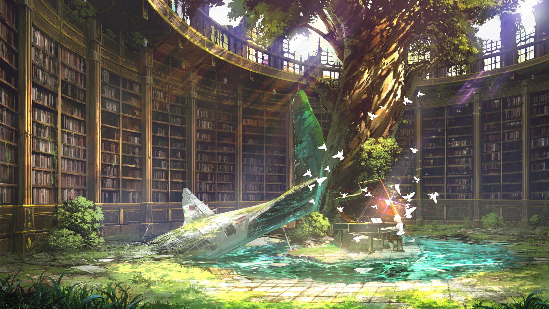 BeltWhite banner