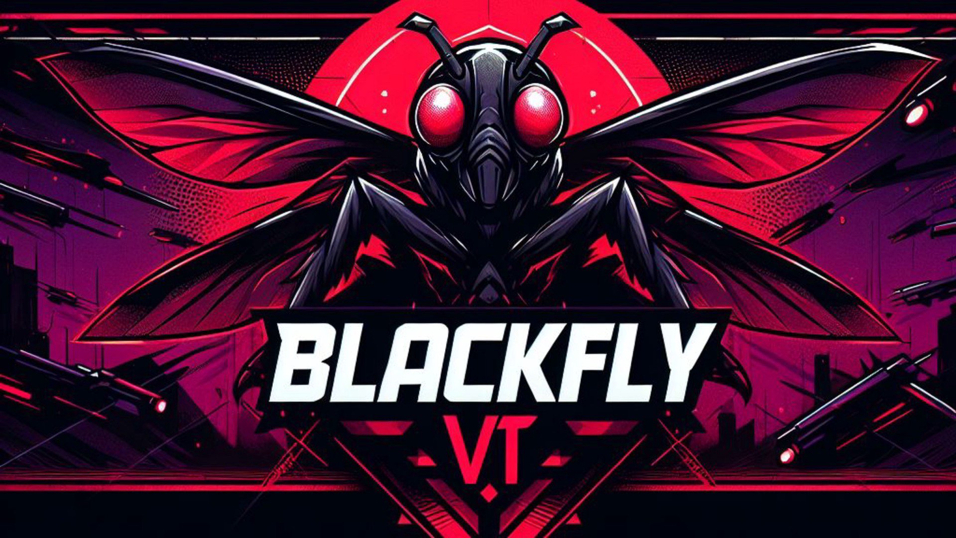 blackflyvt banner