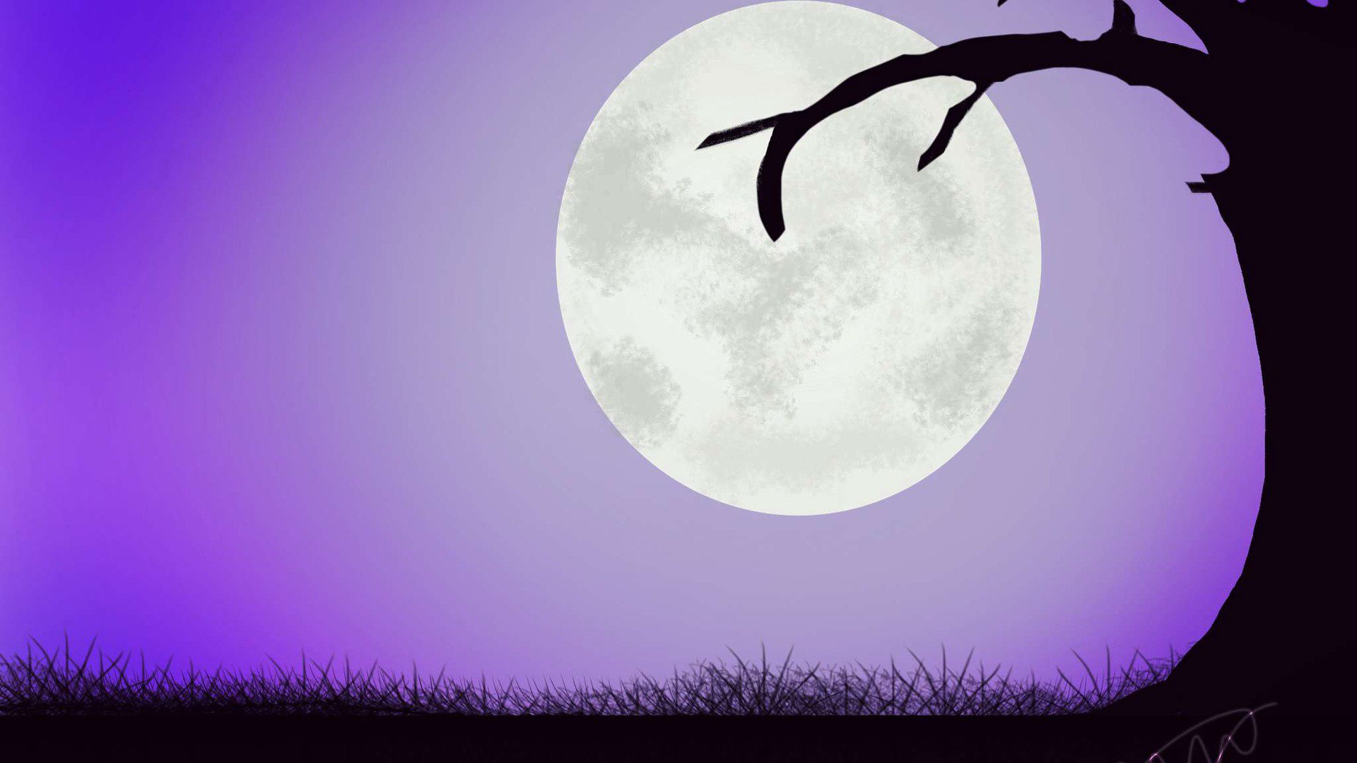 BlackRaven264 banner
