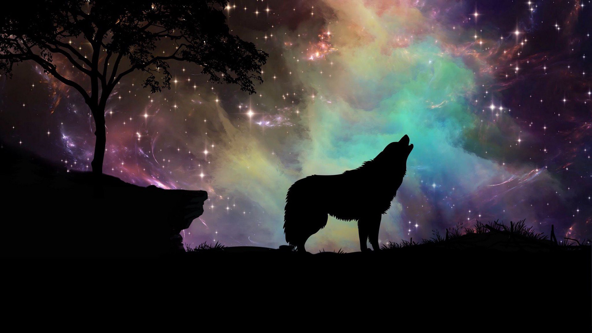 blackveer banner