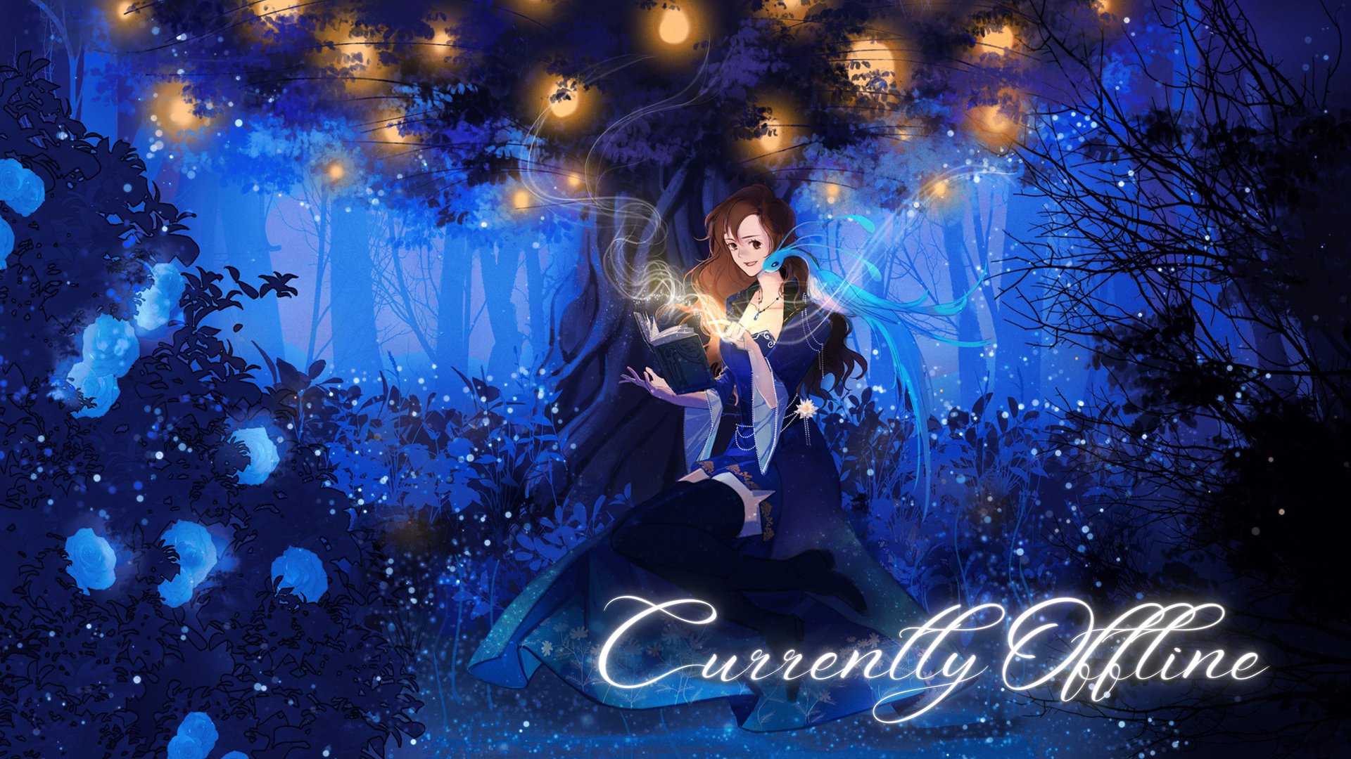 Blaicusa banner