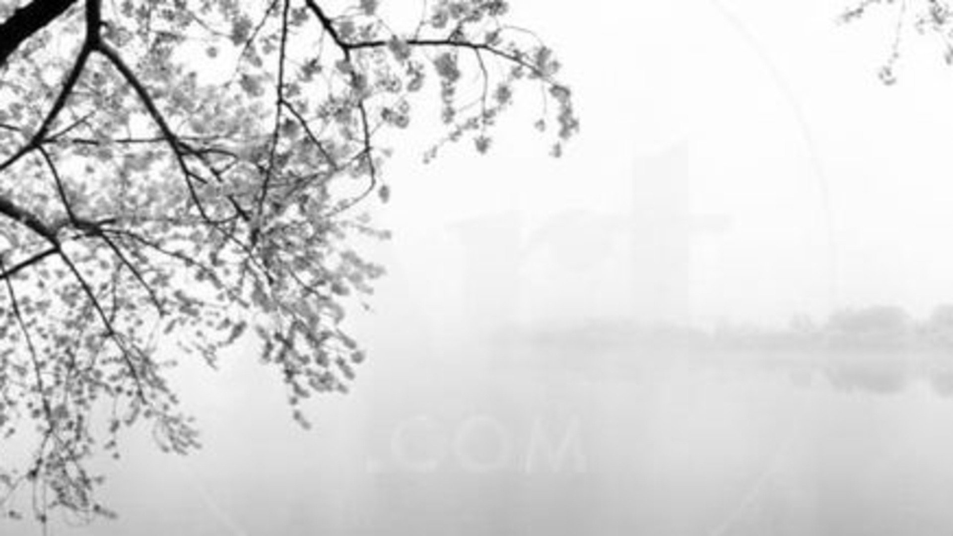 BloodCandi_VT banner