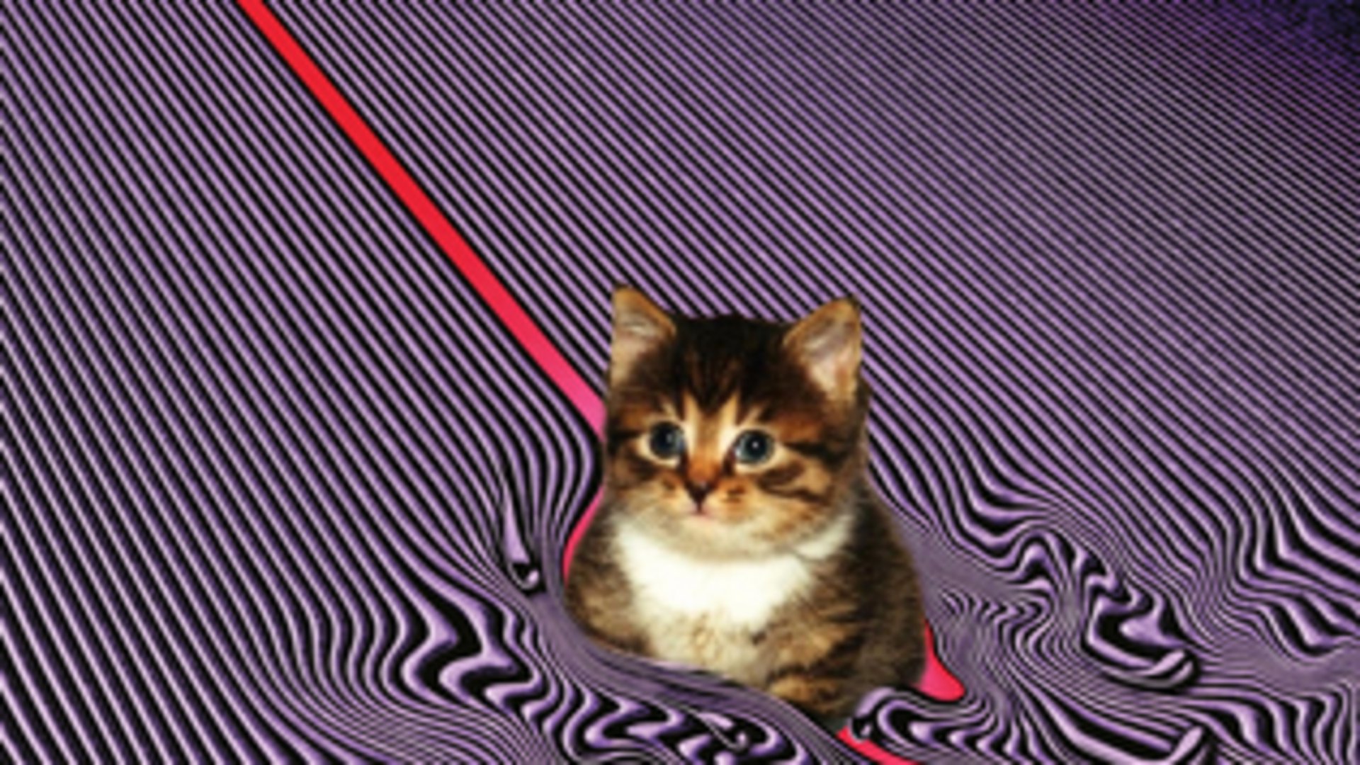BluLowCJ banner