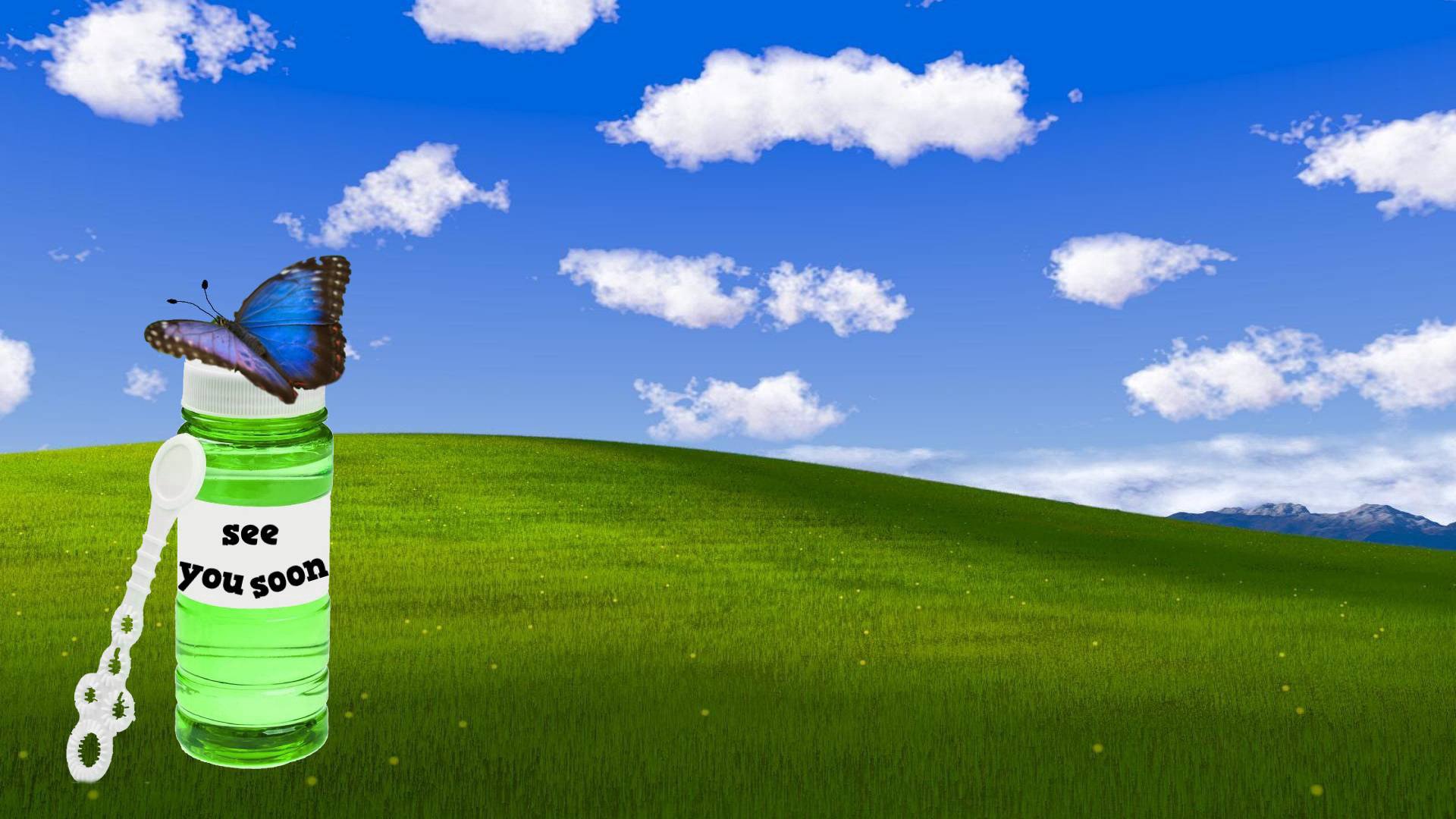 blushingmouse banner