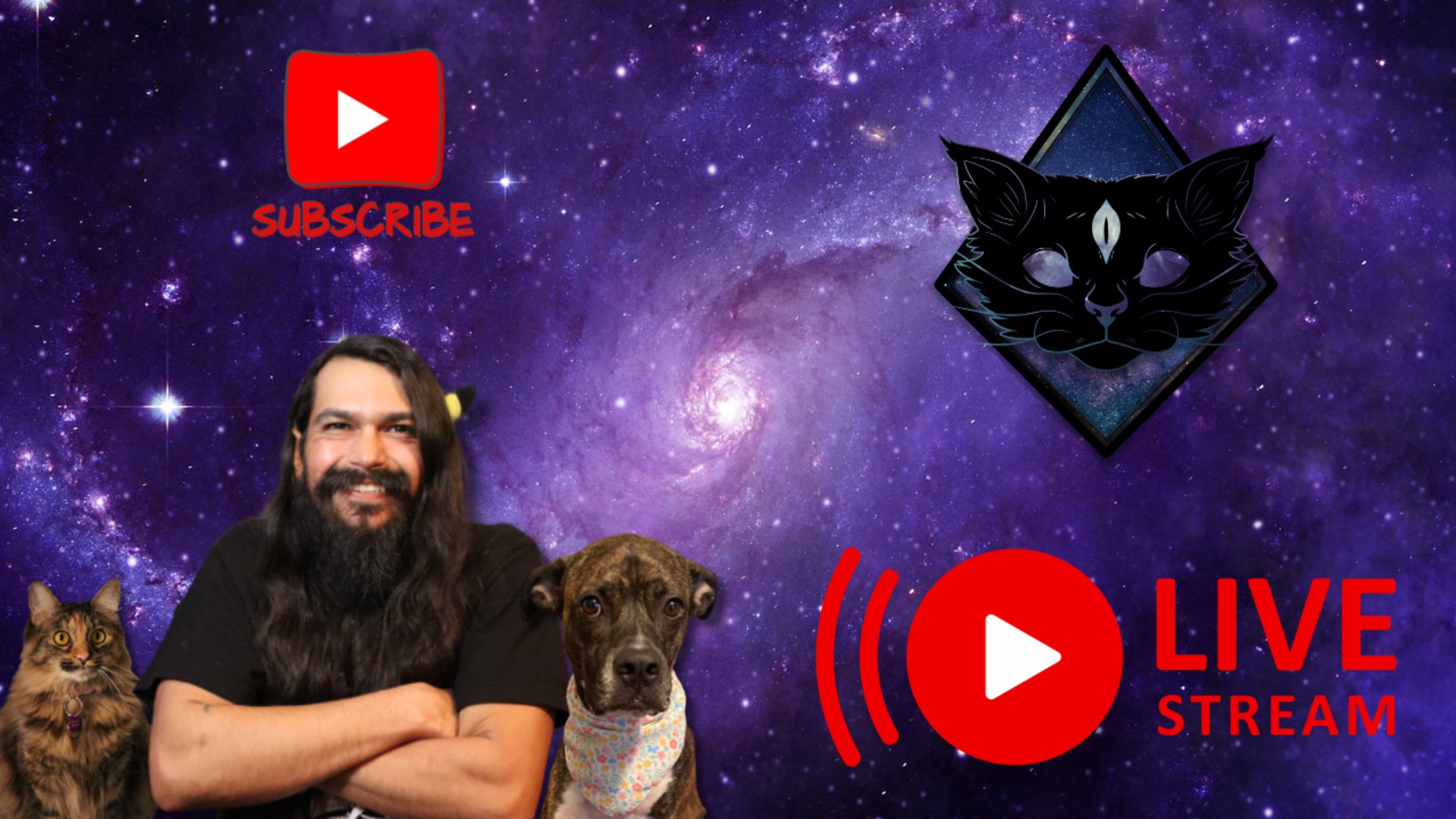 BlxckcatTTV banner