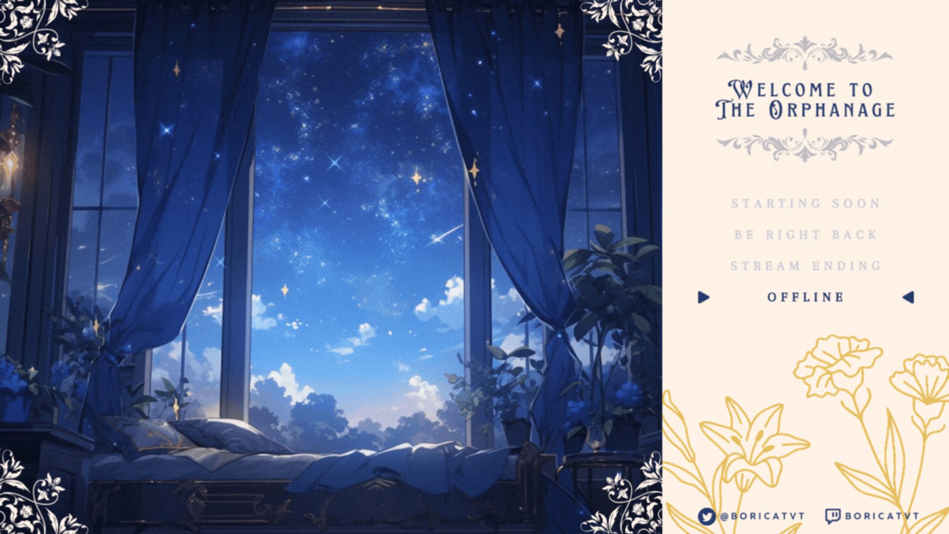 BoriCatVT banner