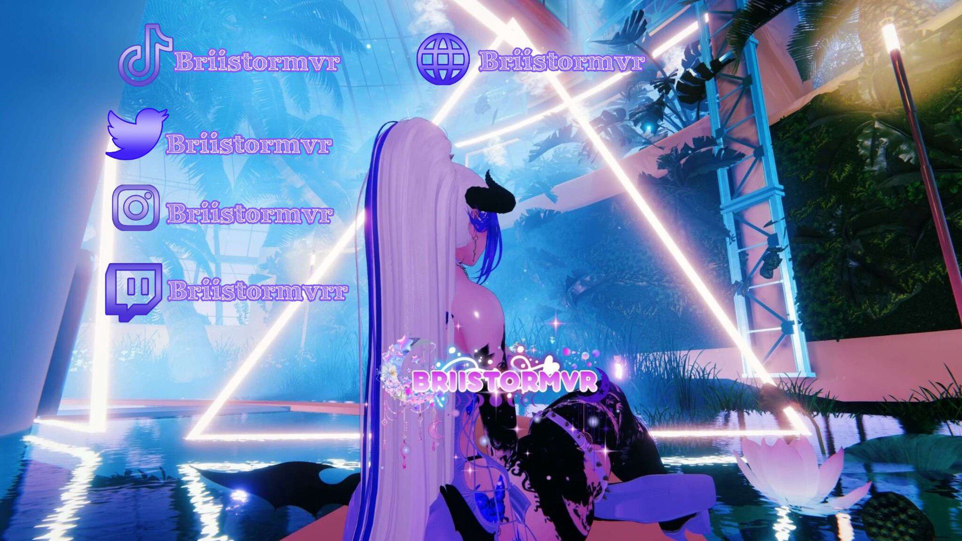 briistormvrr banner