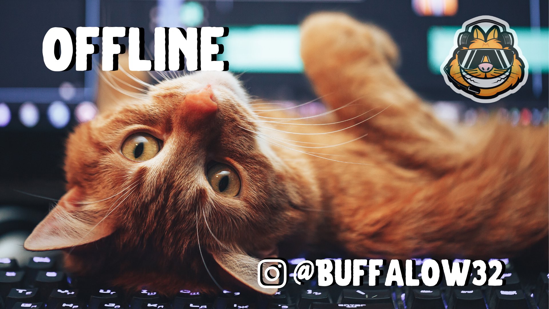 Buffalow32 banner