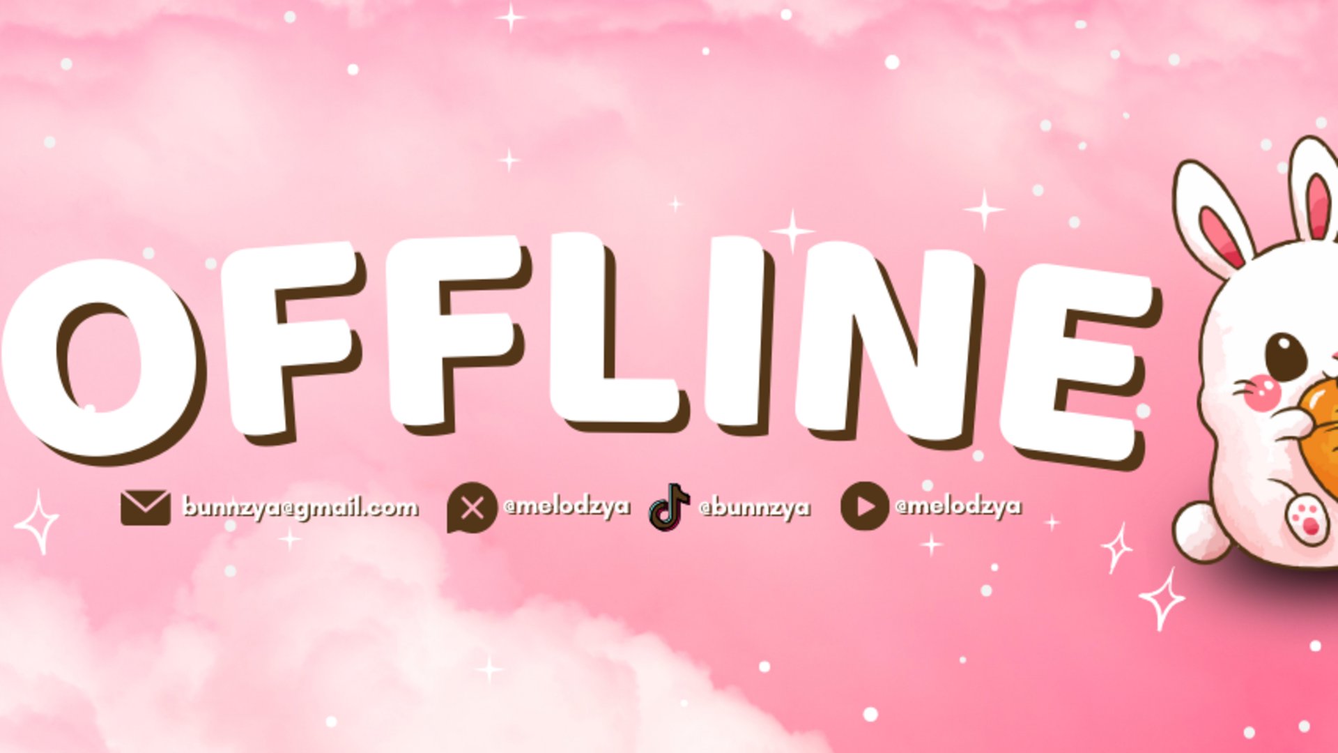 bunnzyaVT banner