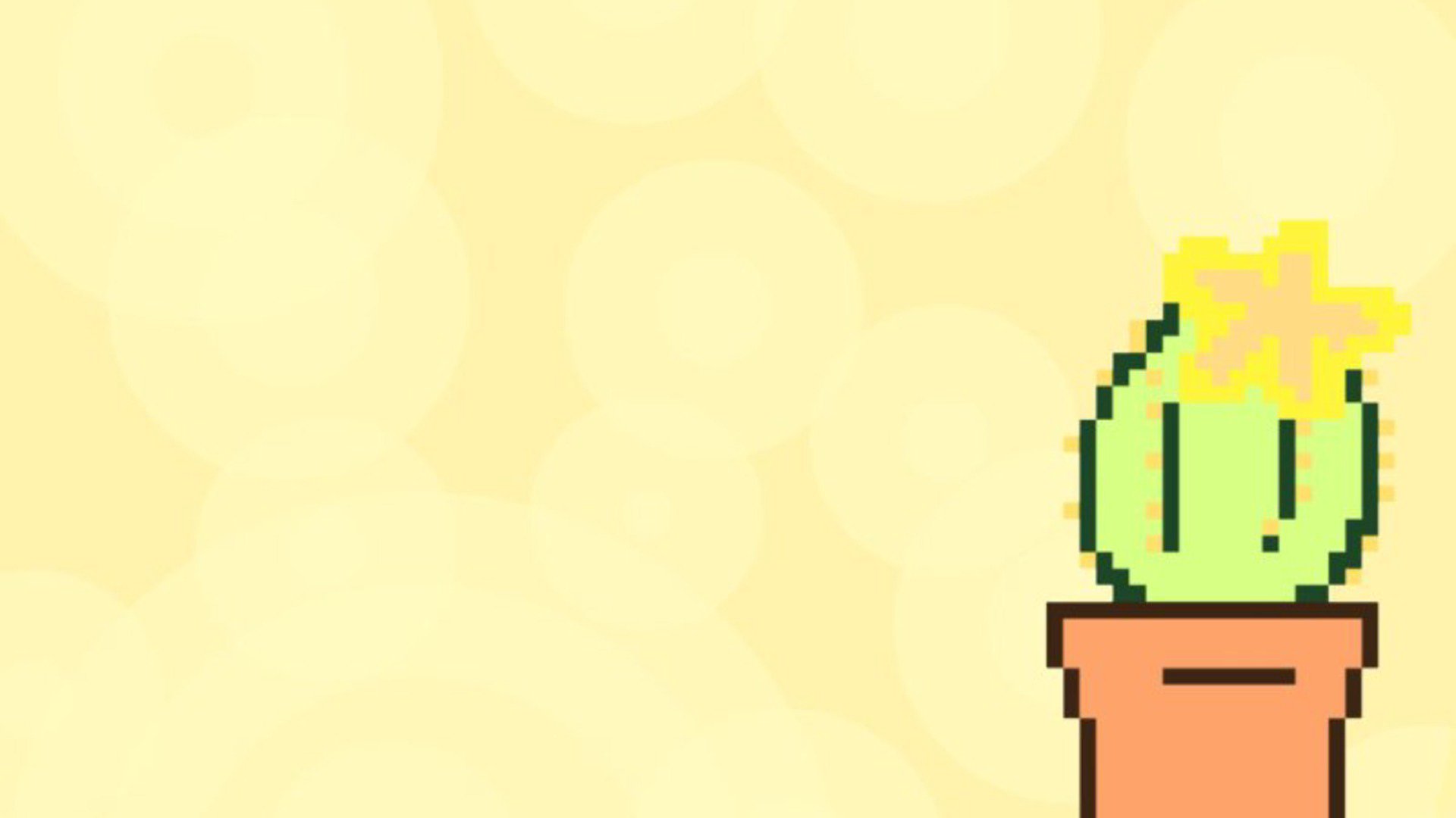 CactusParo banner