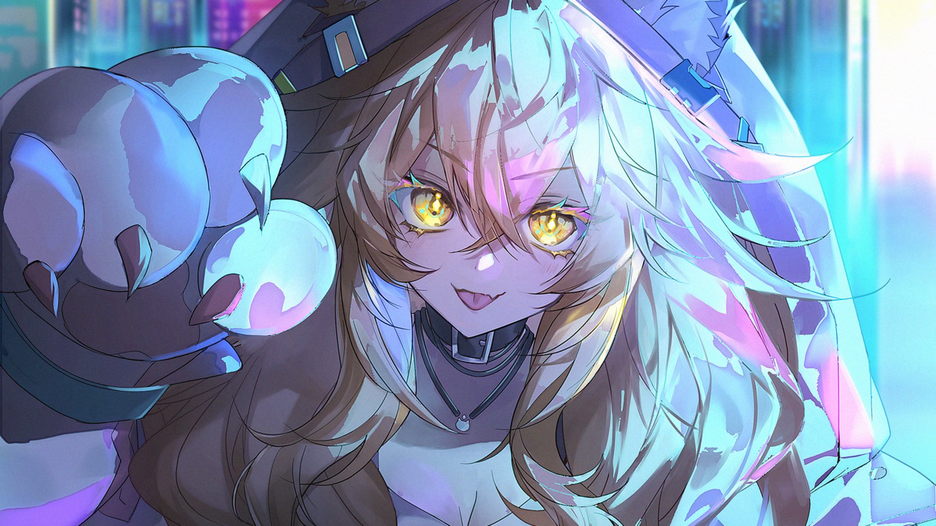 cakecat banner