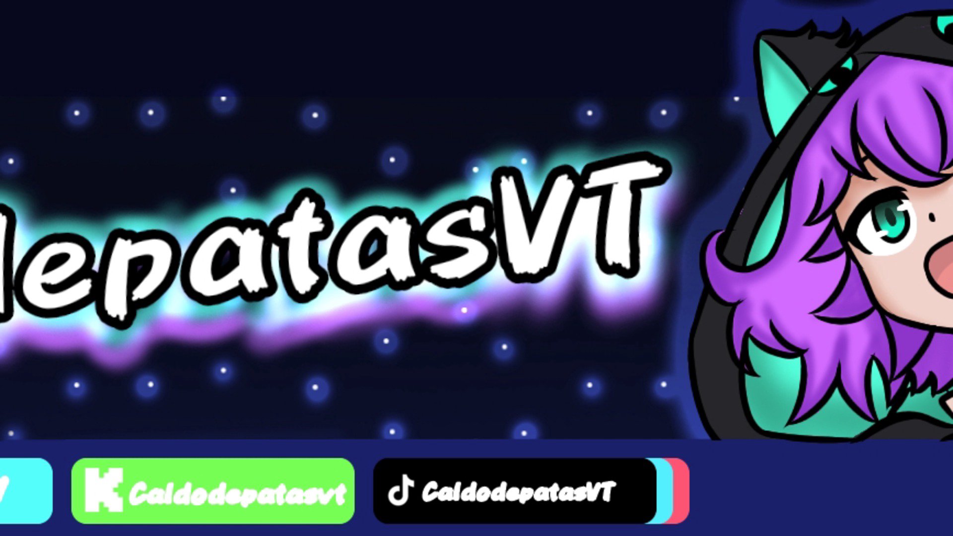 caldodepatasvt banner