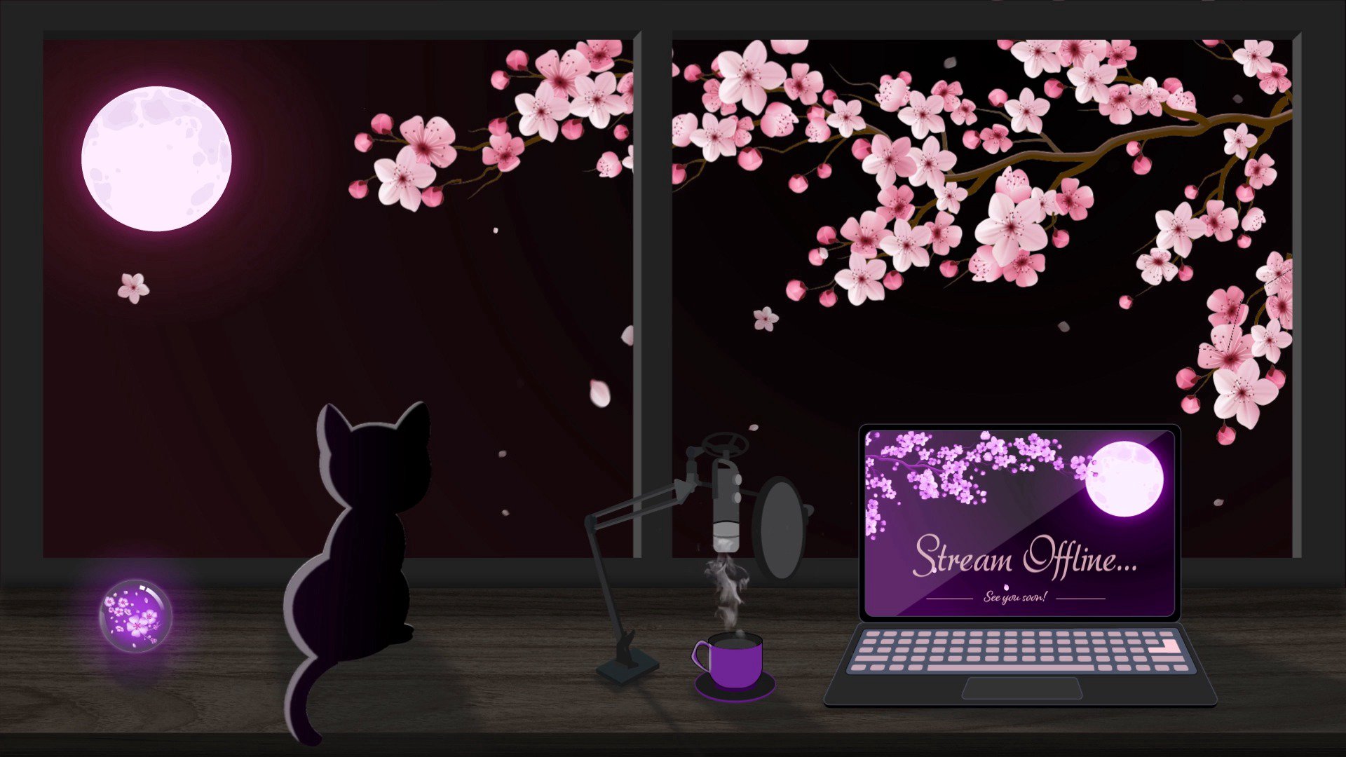 CallieCoTTV banner