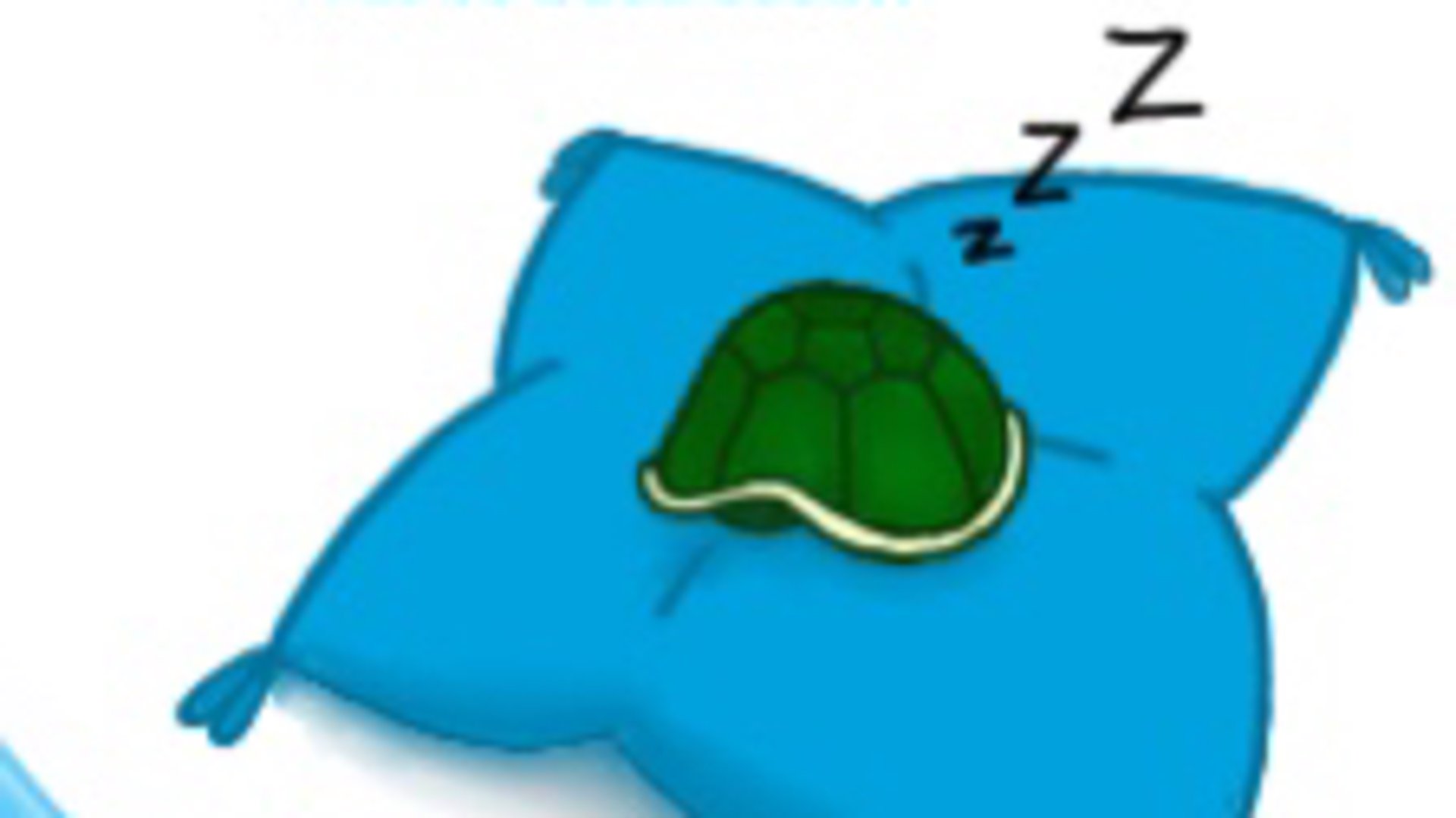 Cam_The_Confuse_Turtle banner