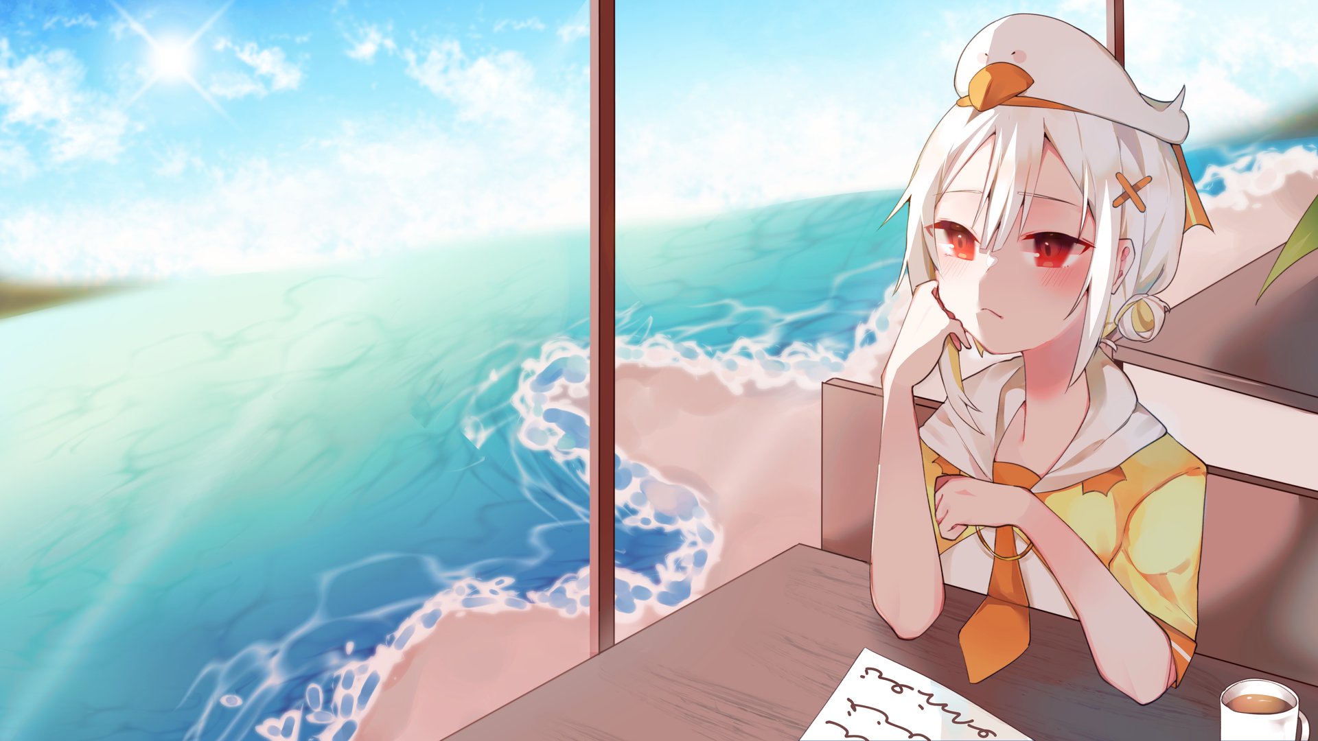 Canard Nuage banner