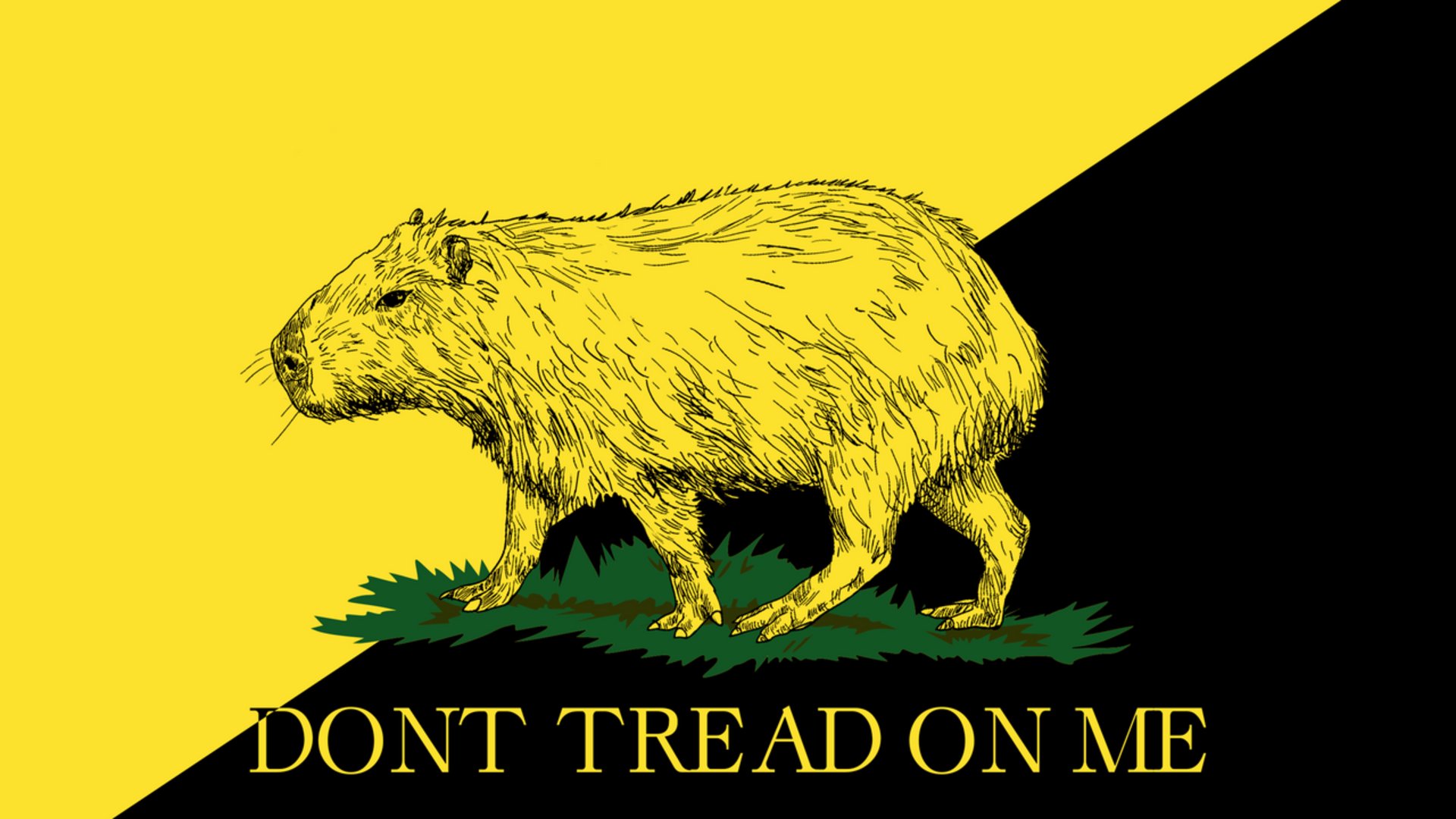 Captain_Chigi banner
