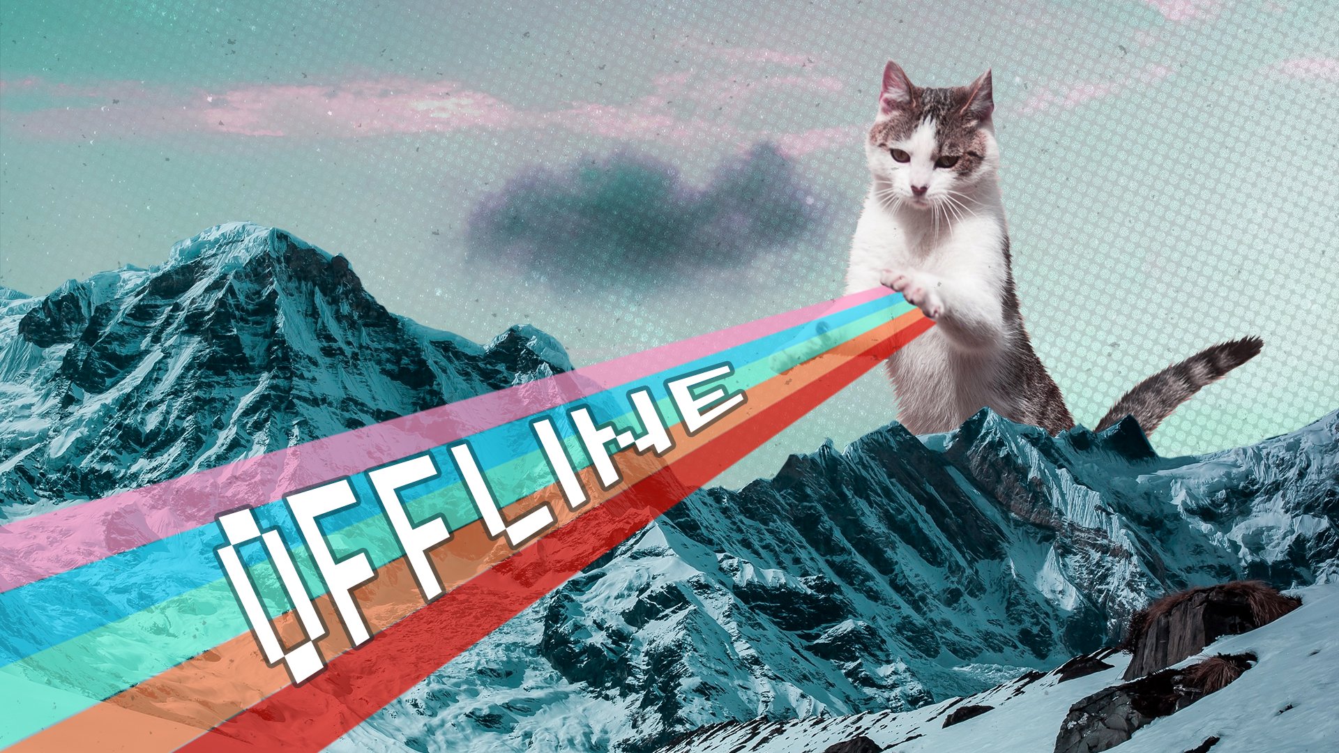 CaptainCats42 banner