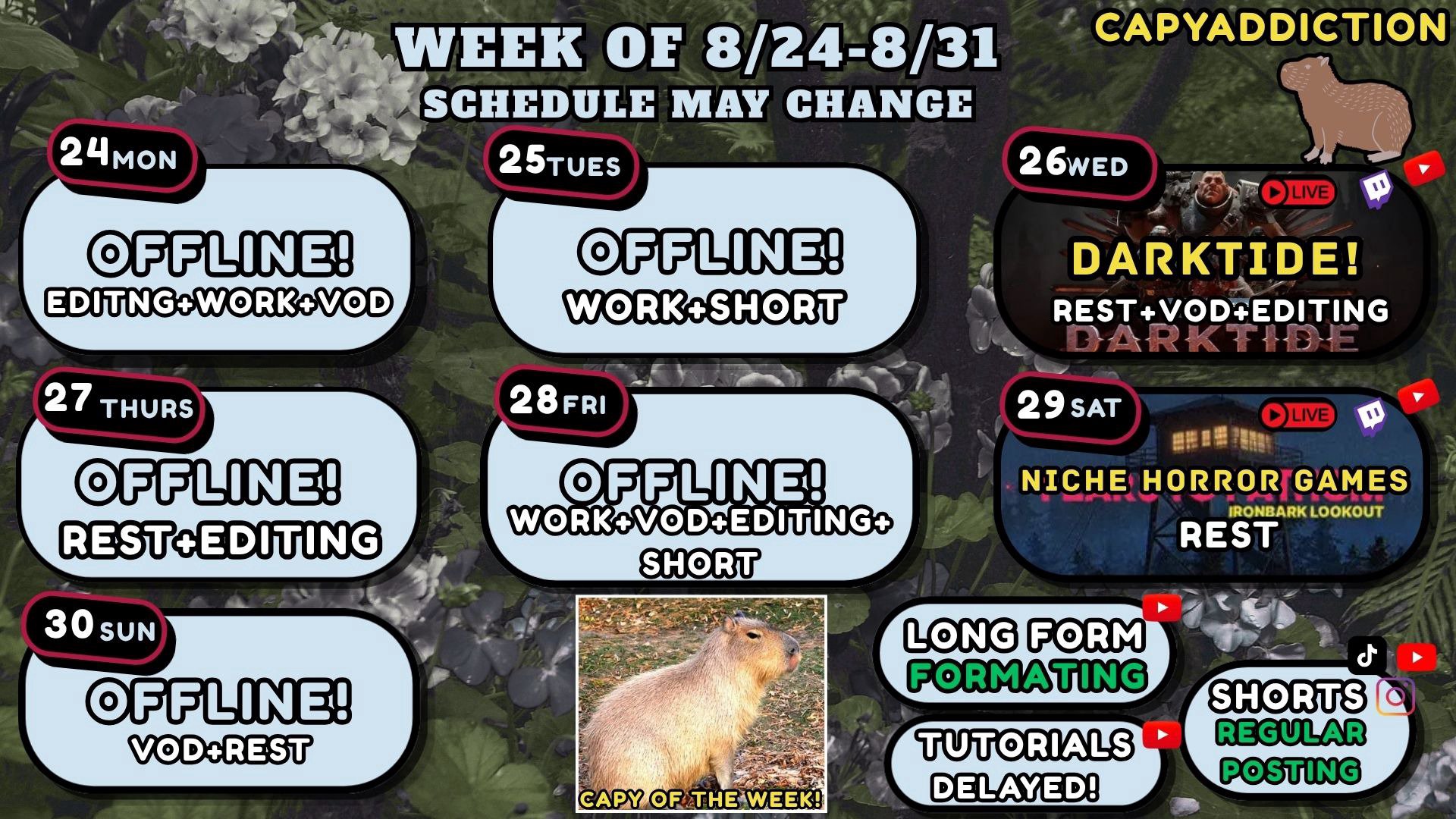 CapyAddiction banner